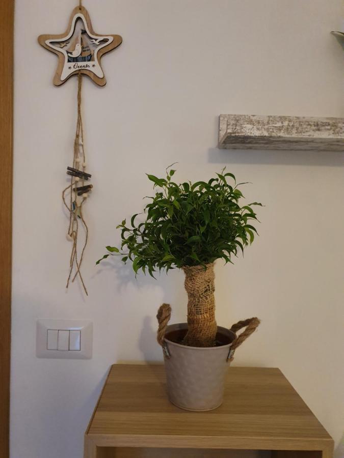 אלבה אדריאטיקה Bella Alba Apartment On The Beach מראה חיצוני תמונה